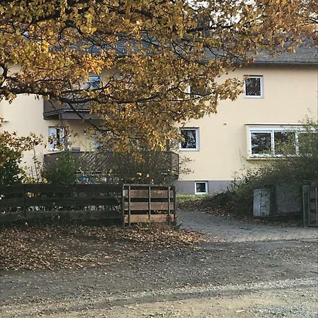 Akazienhof Apartment Schmitten Bagian luar foto