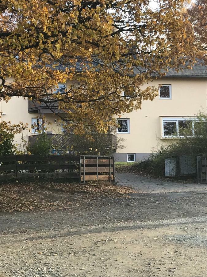 Akazienhof Apartment Schmitten Bagian luar foto